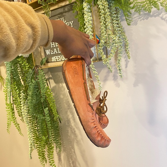 UGG classic slippers in good condition. Comfy and refreshed/dry cleaned. - Picture 3 of 5